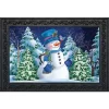 Briarwood Lane Snowfall Celebration Winter Doormat Bluebird Snowy Indoor Outdoor 30" X 18"