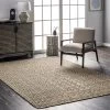 NuLOOM Micaela Global Braided Jute Area Rug