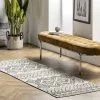 NuLOOM Olivia Transitional Moroccan Area Rug