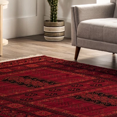 NuLOOM Billie Traditional Paneled Fringe Area Rug - Image 8