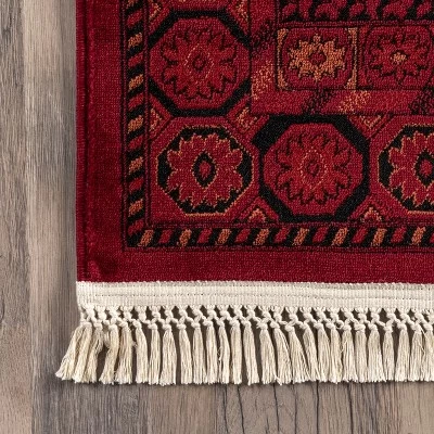 NuLOOM Billie Traditional Paneled Fringe Area Rug - Image 4